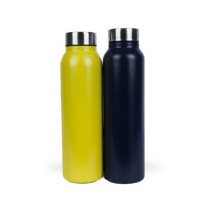 Stainless Bottle Colour